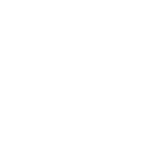 Home Security Icon
