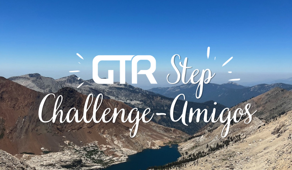 The GTR Step Challenge Amigos
